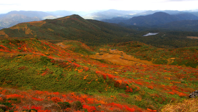 栗駒山の紅葉1