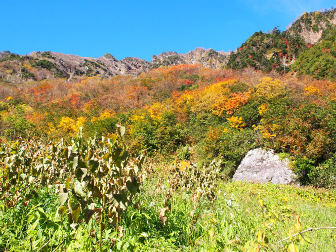 大沢小屋を越え沢に