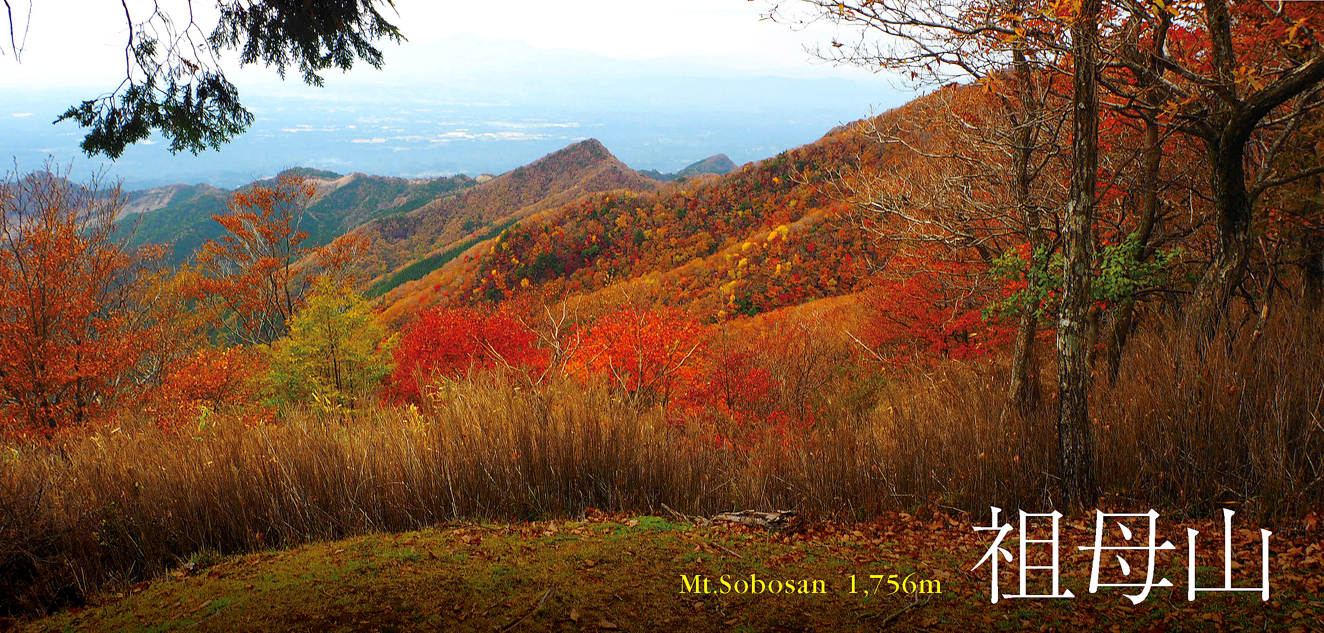 散りゆく秋を追いかけて 九州遠征 アスレチック感覚で登れる変化に富んだコースの 祖母山 Happy Mountain Life