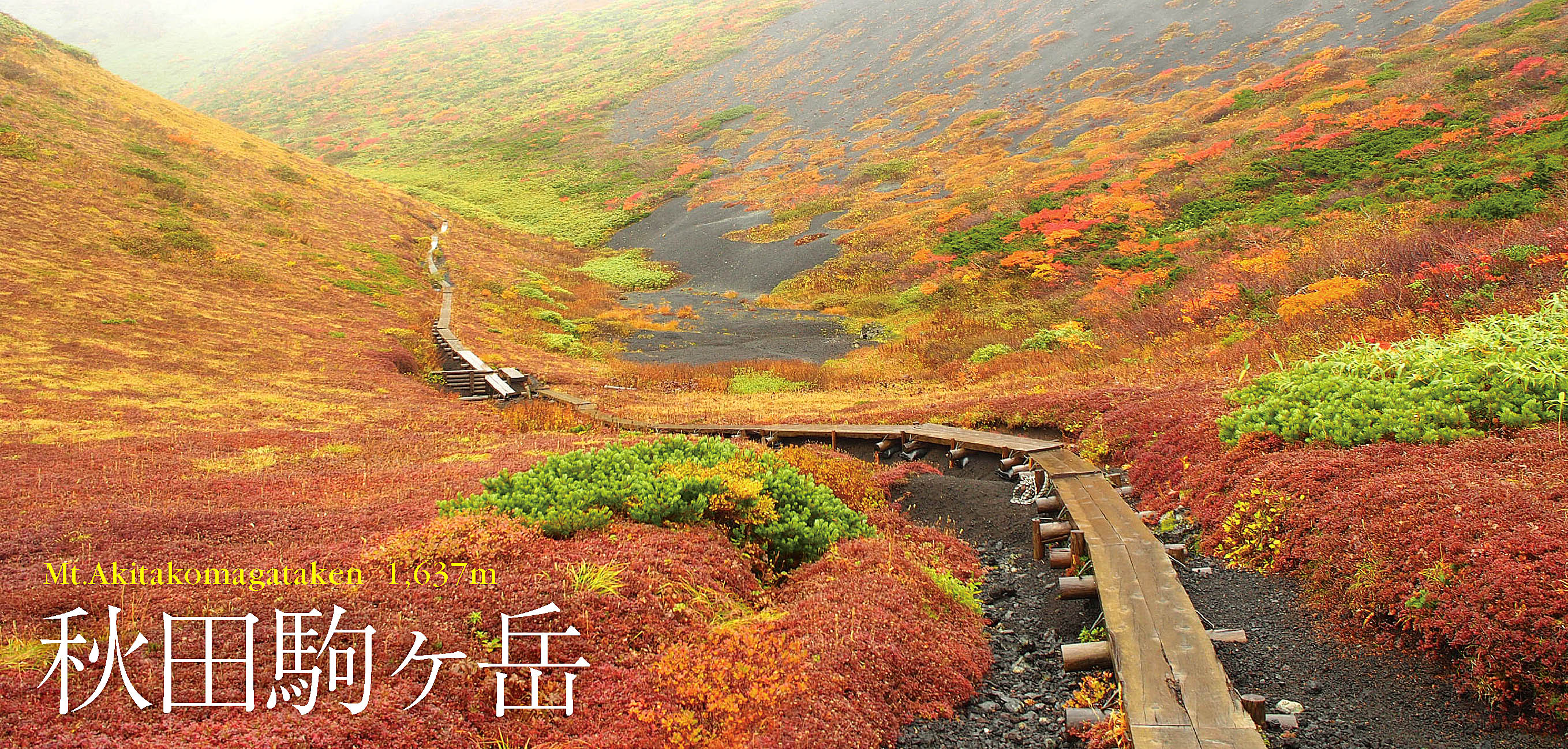 東京から高速バスでアクセス 素晴らしい紅葉ピークの 秋田駒ヶ岳 とムーミン谷の絶景を楽しむはずが Happy Mountain Life