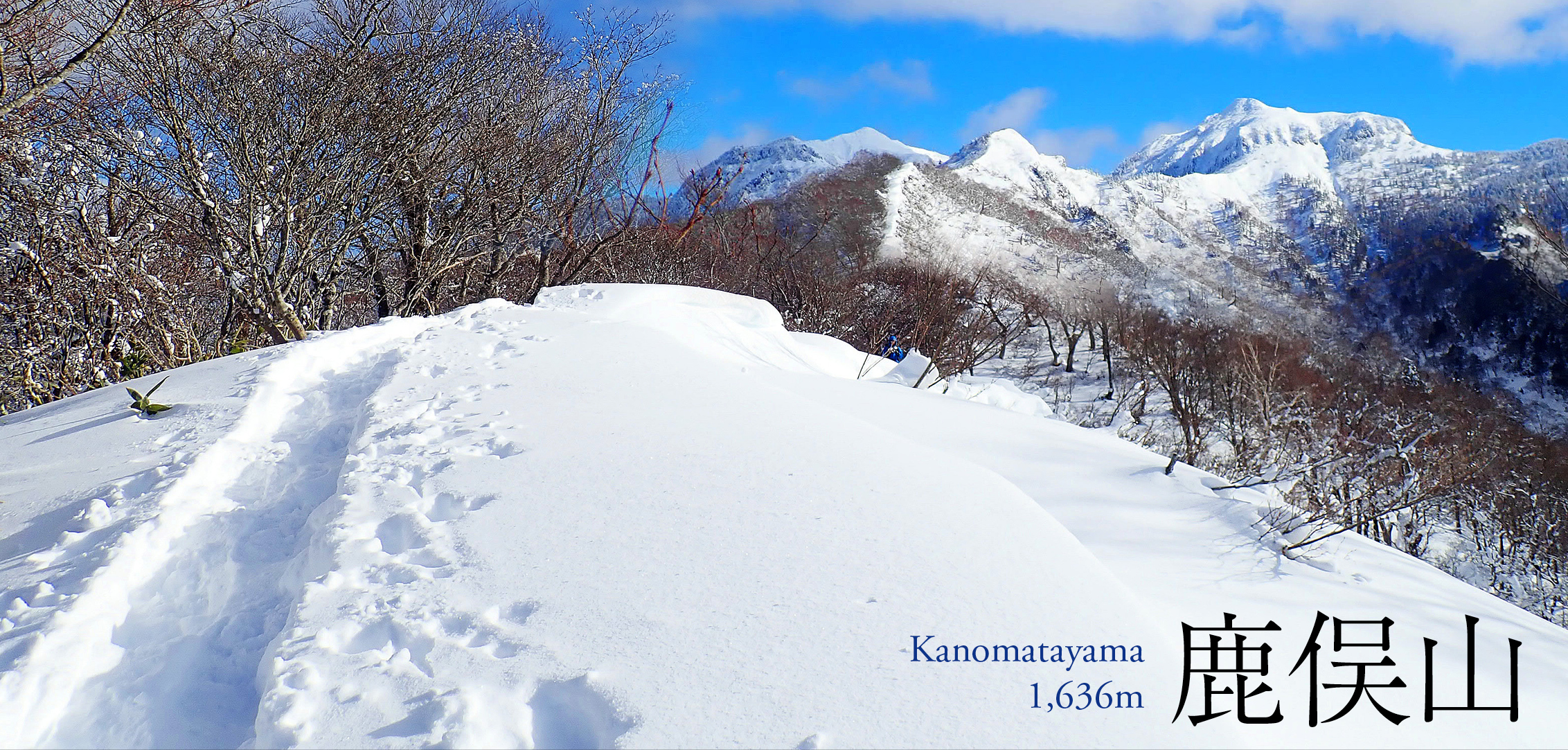 雪原歩きを楽しむスノーシューのコース紹介［Part.5］〜フカフカの新雪